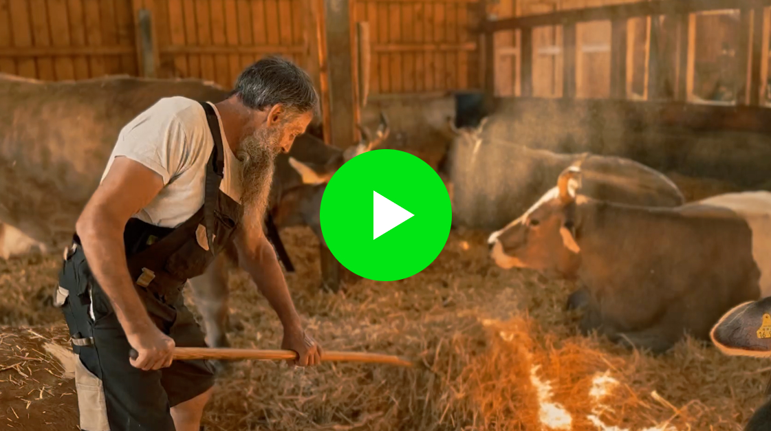 Video zu Stroh